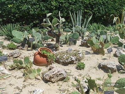 Excursie balcic - Cape Kaliakra