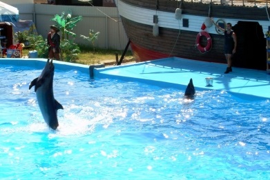 Excursie de la arhipelagul la parcul olimpic