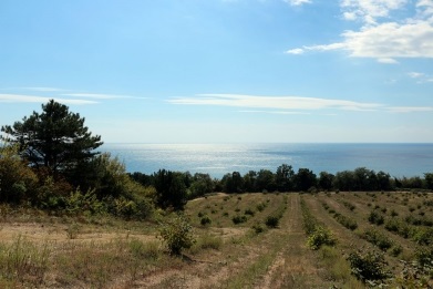 Excursie de la arhipelagul la parcul olimpic