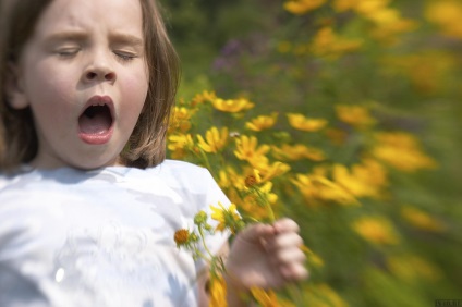 Dacă ragweed crește și pe site-ul dvs. încearcă să smulgă ambrosia