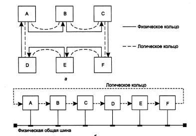 Structurarea fizică a rețelei - stadopedie