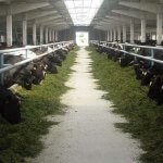 Ajutoare de stat pentru fermierii începători - portal agricol