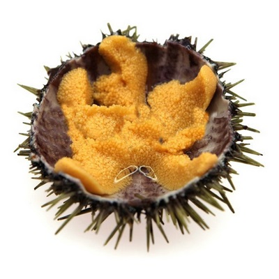 Caviar de arici de mare în gătit - caracteristici de gătit, proprietăți utile și soiuri