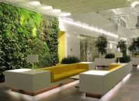 Arbori artificiale pentru decoratiuni interioare