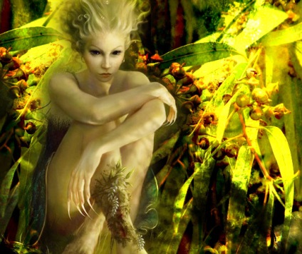 Utilizarea eucaliptului în magie - un magazin de ceai esoteric și medicină pe bază de plante