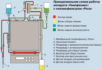 Hogyan nanoresheto