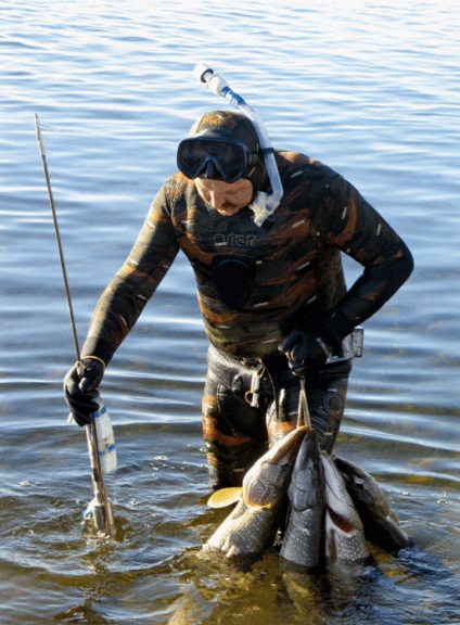 Hogyan és hol található a hal szigonyos spearfishing technikák
