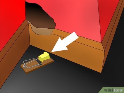 Cum să scapi de șobolani
