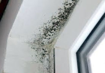 Cum să evitați mucegaiul pe ferestre și pante din plastic în clădiri noi