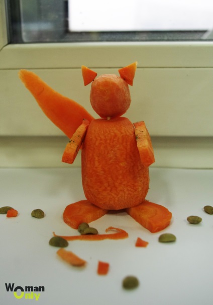 Cum sa faci carton de la morcovi