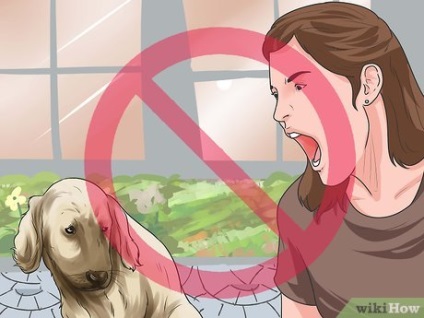 Cum să pregătești un câine pentru a proteja găinile