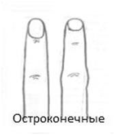 Какъв е вашият характер под формата на пръстите vlaad