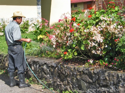 Cum să obțineți un loc de muncă ca grădinar