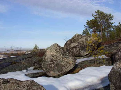 Cum au apărut glaciațiile și de ce au mutat universul - teritoriul unei turme libere