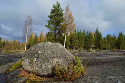 Cum au apărut glaciațiile și de ce au mutat universul - teritoriul unei turme libere