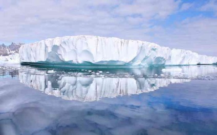 Cum au apărut glaciațiile și de ce au mutat universul - teritoriul unei turme libere