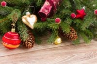 Cum să utilizați în mod corespunzător pomul de Crăciun după sărbători, întrebarea-răspuns, noul an, argumentele și