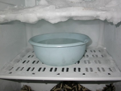 Cum se poate dezgheța modul de dezghețare al frigiderului