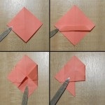 Cum se face un morcov în vrac din carton