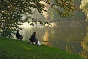 Cum de a provoca muscatura în timpul iernii 