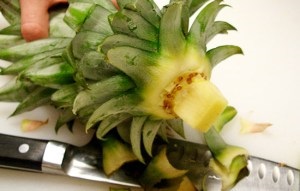 Cum să crească ananas la domiciliu din partea de sus - experiență personală