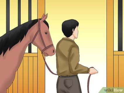 Cum să conduci un cal