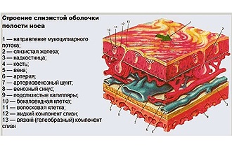 Ulei de camfor în nas de la rece - cum să picură în mod corespunzător