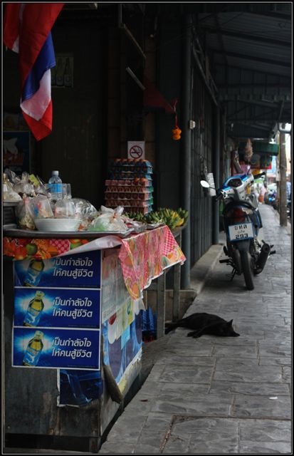 Katya pe un cat sau cum să sărbătorim Anul Nou în Phuket