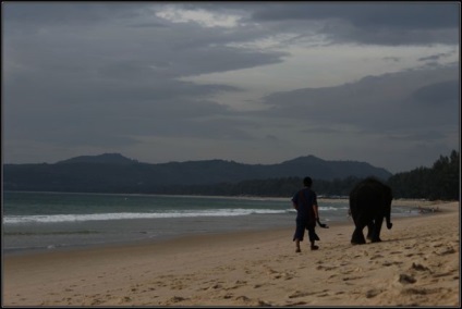 Katya pe un cat sau cum să sărbătorim Anul Nou în Phuket