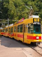 Miért álom egy csomó cipő (ez a cikk fogja mondani) Miért álom egy csomó cipő