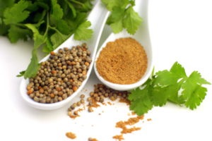 Cilantro (coriandru) beneficiaza si dauneaza