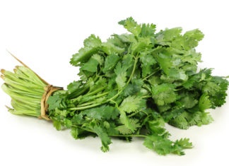 Cilantro (coriandru) beneficiaza si dauneaza