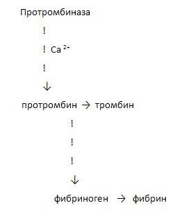 Coeficientul de hemostază