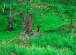 Állatsimogatóval tavi pisztráng piramis aranymetszés, megfigyelő fedélzeten túrák a környéken