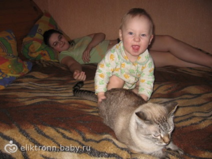 Macska és az újszülött macska féltékeny