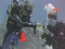 Természetesen Advanced Open Water búvár padi, csoportos rudive