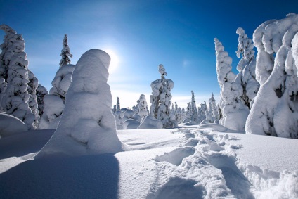 Laponia în Finlanda