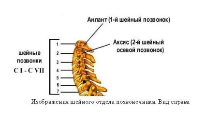 Fizioterapie și lfk cu instabilitate a coloanei vertebrale cervicale