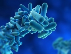 Legionella în rezolvarea problemei sistemului de alimentare cu apă caldă