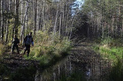 Un băiat cu doi câini rătăcea în pădurea din Buryatia și nu era atins de lupi