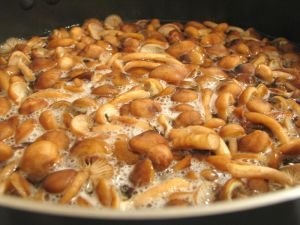 Ciupercile proaspăt sărate gătesc secrete din adâncurile secolelor