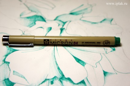 Mallow! Creioane verzi! Numărul de opțiuni 2! Eliminăm etapele! Blog - blog al artistului