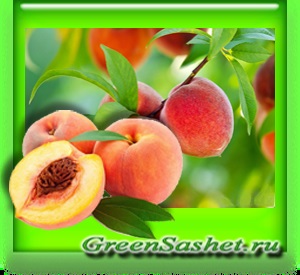 Uleiul de piersici - prunus persica