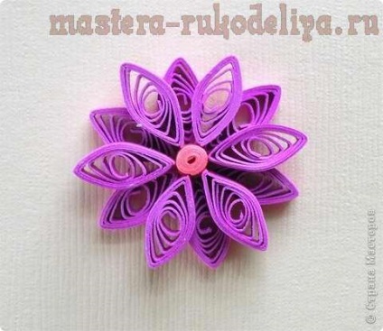 Maestru de clasă pe quilling cum să facă flori frumoase de pe hârtie