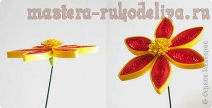 Maestru de clasă pe quilling cum să facă flori frumoase de pe hârtie