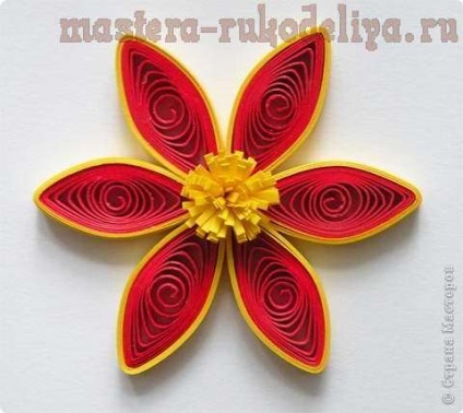 Maestru de clasă pe quilling cum să facă flori frumoase de pe hârtie