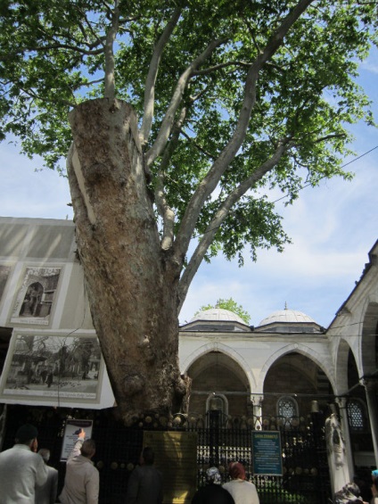 Moscheea sultan Ayyup, telecabina din Istanbul și cafeneaua Pierre Loti