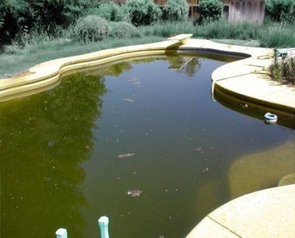 Sulfat de cupru pentru purificarea apei în piscină sau peroxid de hidrogen