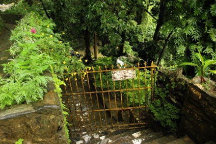 Lumea a fost creată pentru călătorii