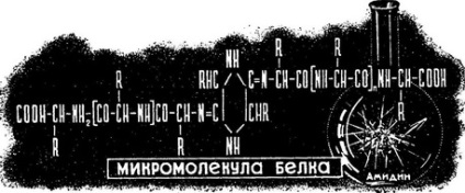 Nikolay Zelinsky, orosz vegyészek, a történelem tudomány és a technológia